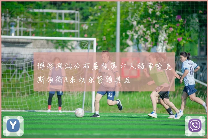 博彩网站公布最佳第六人赔率哈克斯领衔A米切尔紧随其后