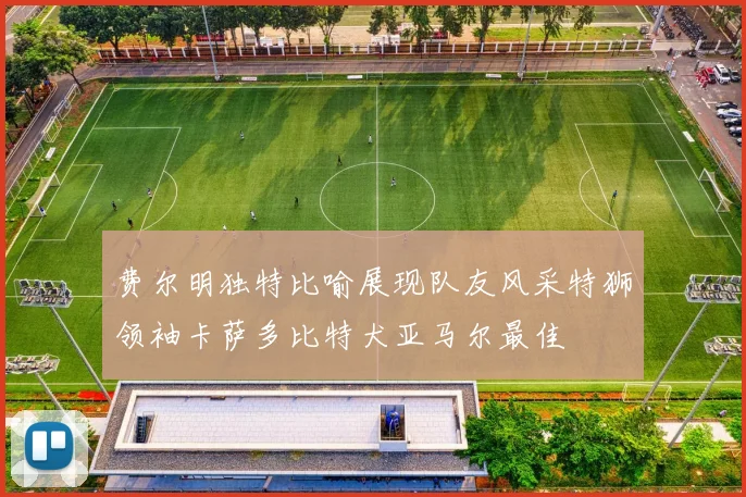 费尔明独特比喻展现队友风采特狮领袖卡萨多比特犬亚马尔最佳