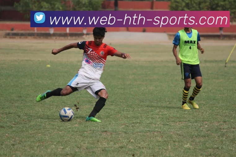 华体会体育平台生态图